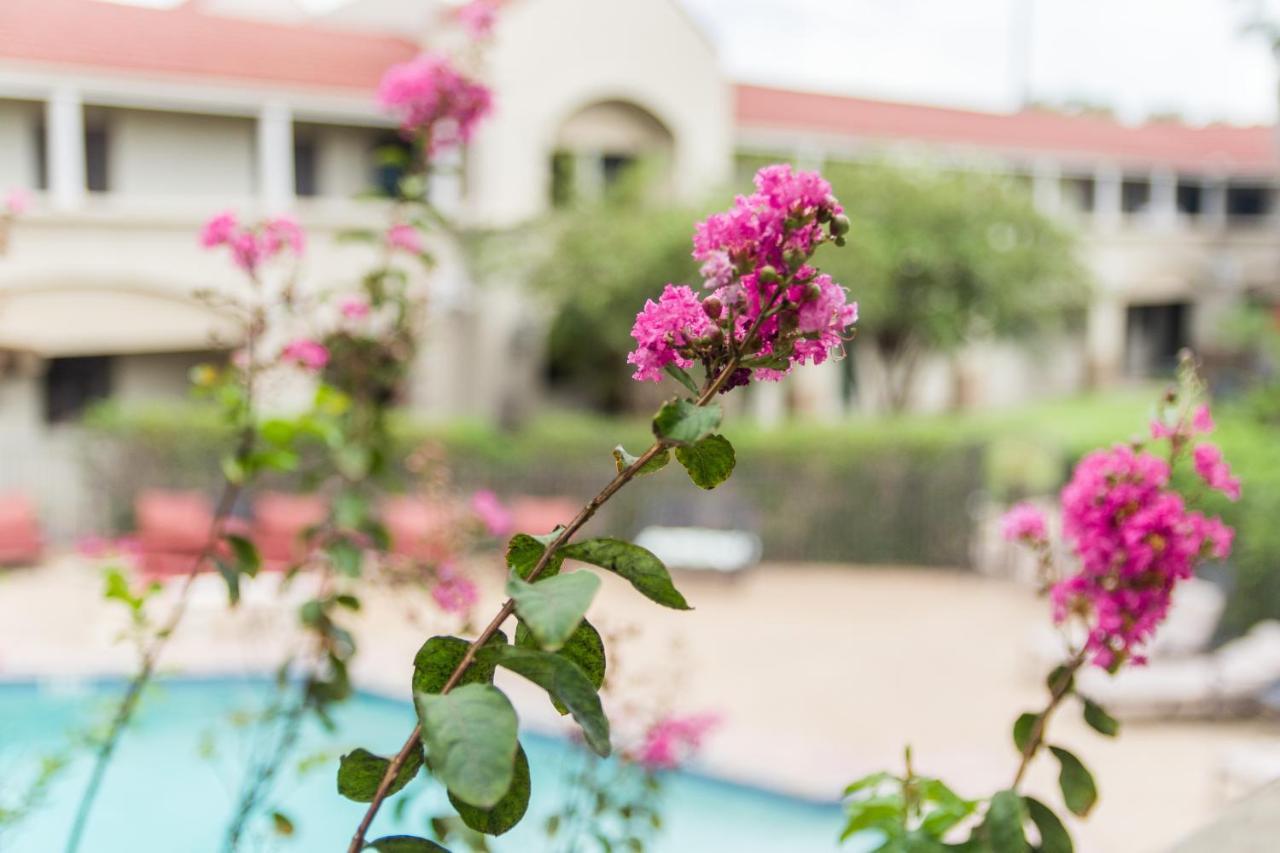 Vineyard Court Designer Suites Hotel College Station Eksteriør billede